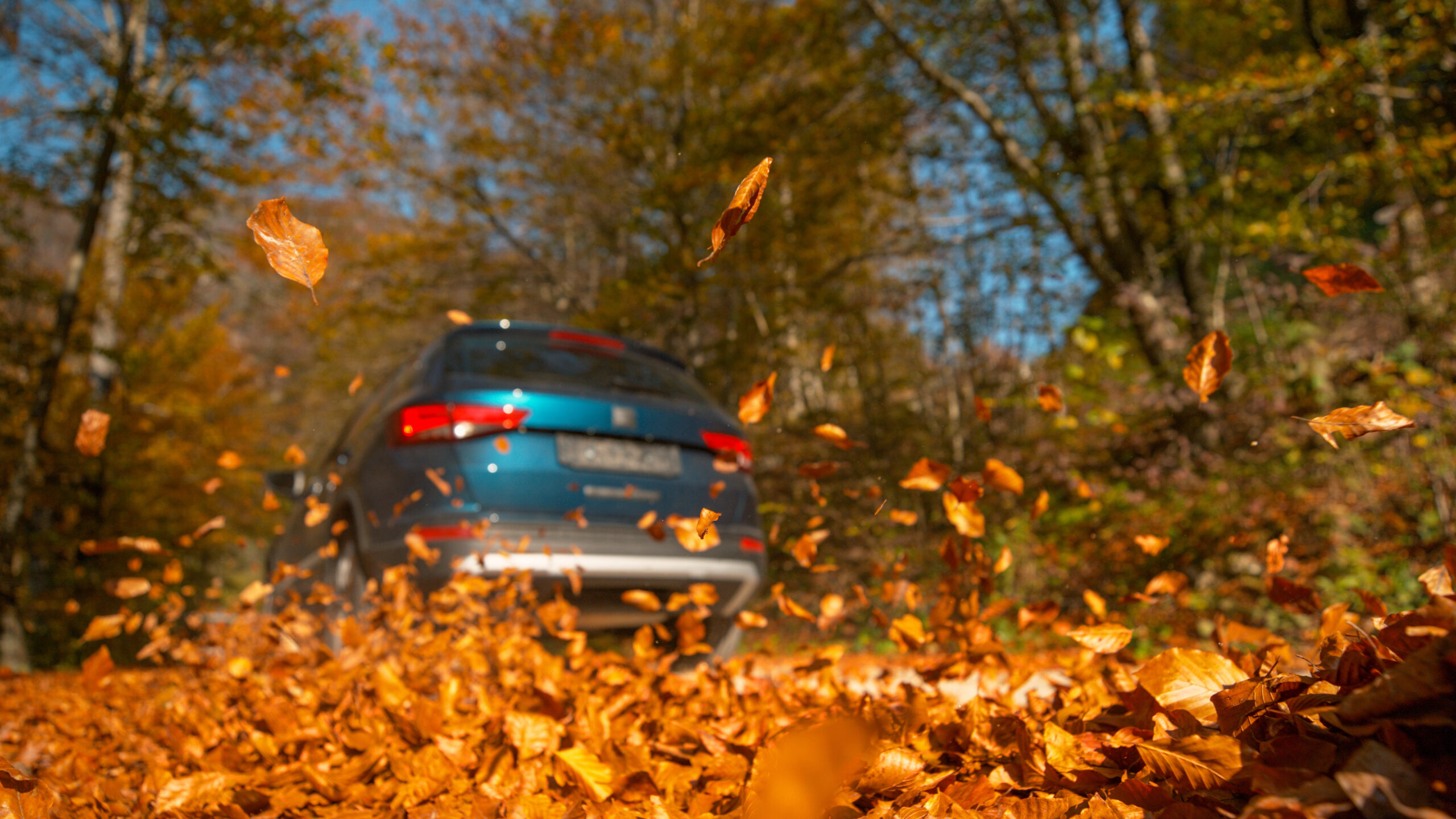 Sicher durch Herbst und Winter: So wird das Auto fit für die kalte Jahreszeit